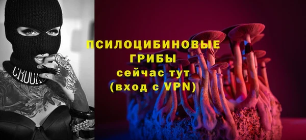 ешки Белокуриха