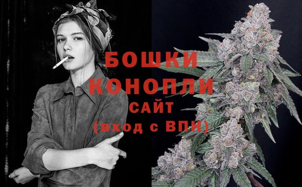 крисы Беломорск