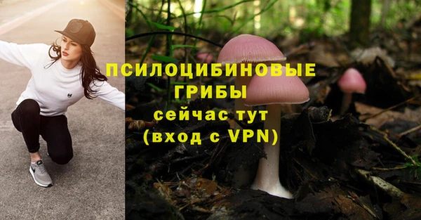 крисы Беломорск