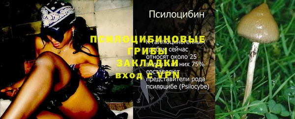ешки Белокуриха
