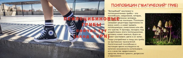 крисы Беломорск