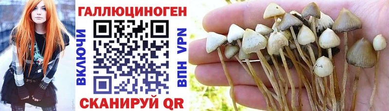 купить наркоту  Свободный  Псилоцибиновые грибы мухоморы 